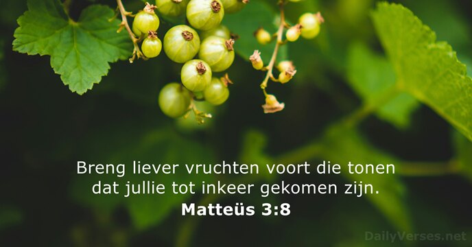 Breng liever vruchten voort die tonen dat jullie tot inkeer gekomen zijn. Matteüs 3:8