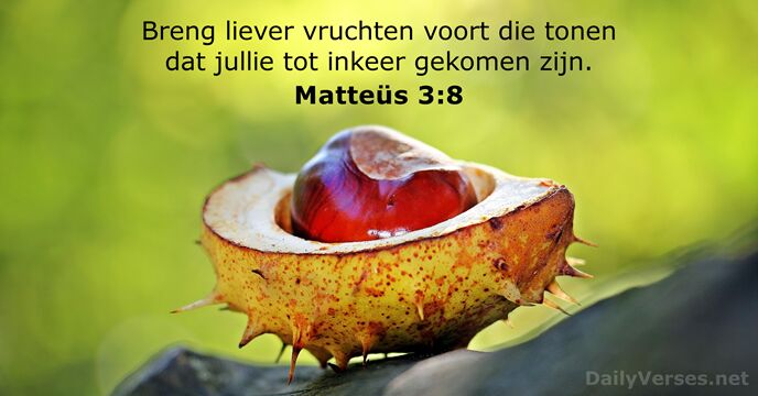 Breng liever vruchten voort die tonen dat jullie tot inkeer gekomen zijn. Matteüs 3:8