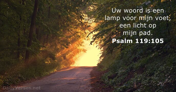 Psalm 119:105