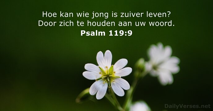 Psalm 119:9