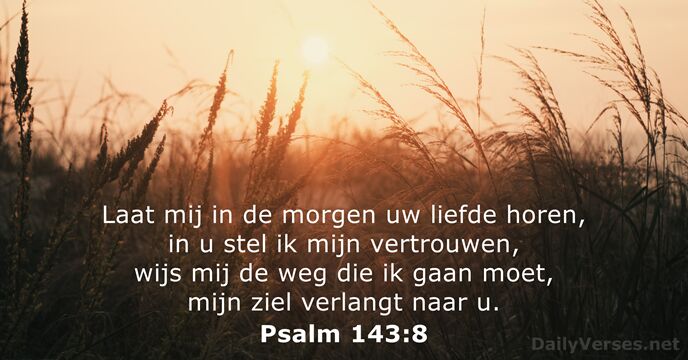 Psalm 143:8
