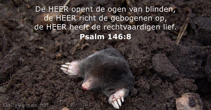 De HEER opent de ogen van blinden, de HEER richt de gebogenen… Psalm 146:8