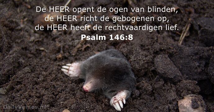 Psalm 146:8