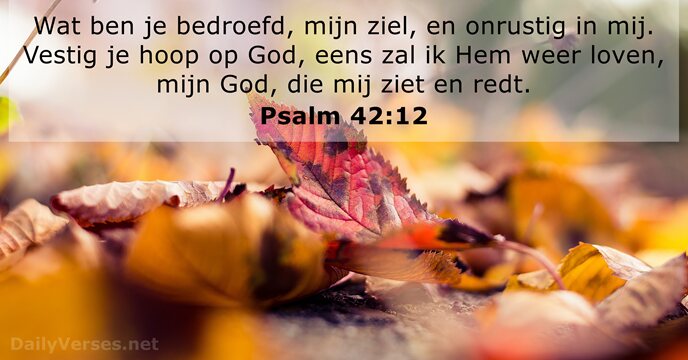 Psalm 42:12