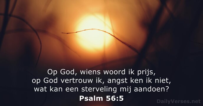 Psalm 56:5