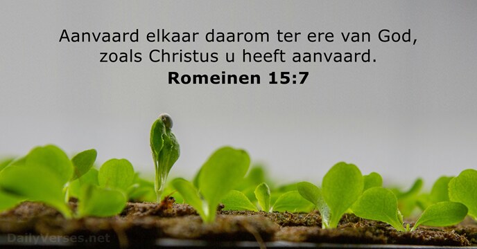 Aanvaard elkaar daarom ter ere van God, zoals Christus u heeft aanvaard. Romeinen 15:7