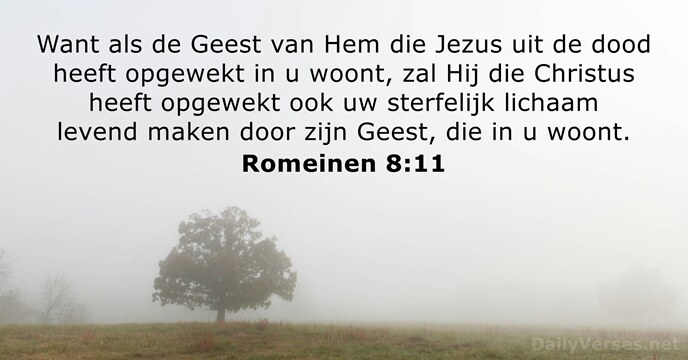 Want als de Geest van Hem die Jezus uit de dood heeft… Romeinen 8:11