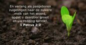 1 Petrus 2:2