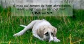 1 Petrus 5:7