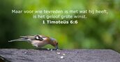 1 Timoteüs 6:6