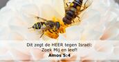 Amos 5:4