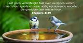 Efeziërs 4:29