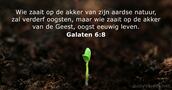 Galaten 6:8