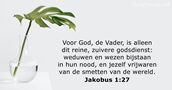 Jakobus 1:27