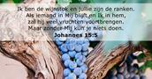 Johannes 15:5