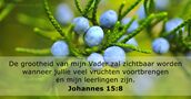 Johannes 15:8
