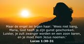 Lucas 1:30-31