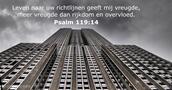 Psalm 119:14