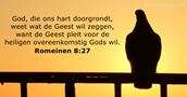 Romeinen 8:27