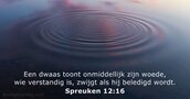 Spreuken 12:16