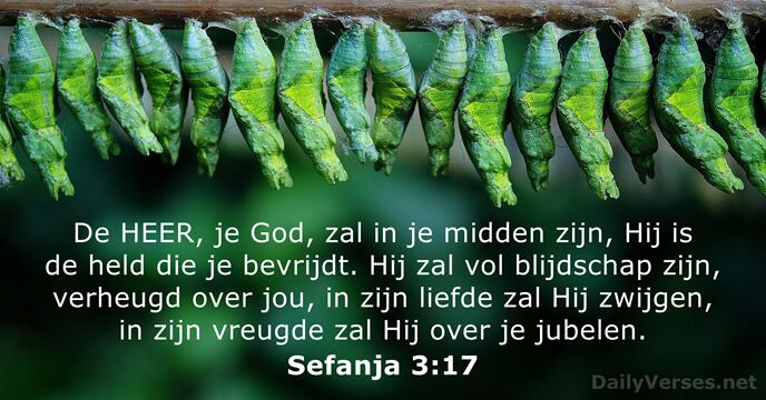 98 Bijbelteksten Over God - Dailyverses.Net