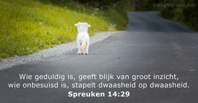 Wie geduldig is, geeft blijk van groot inzicht, wie onbesuisd is, stapelt… Spreuken 14:29