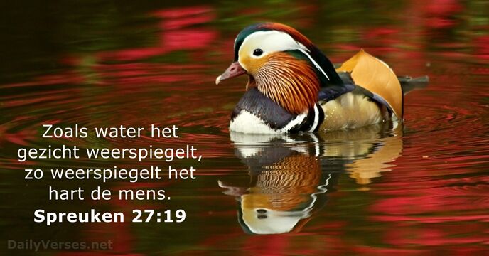 Spreuken 27:19