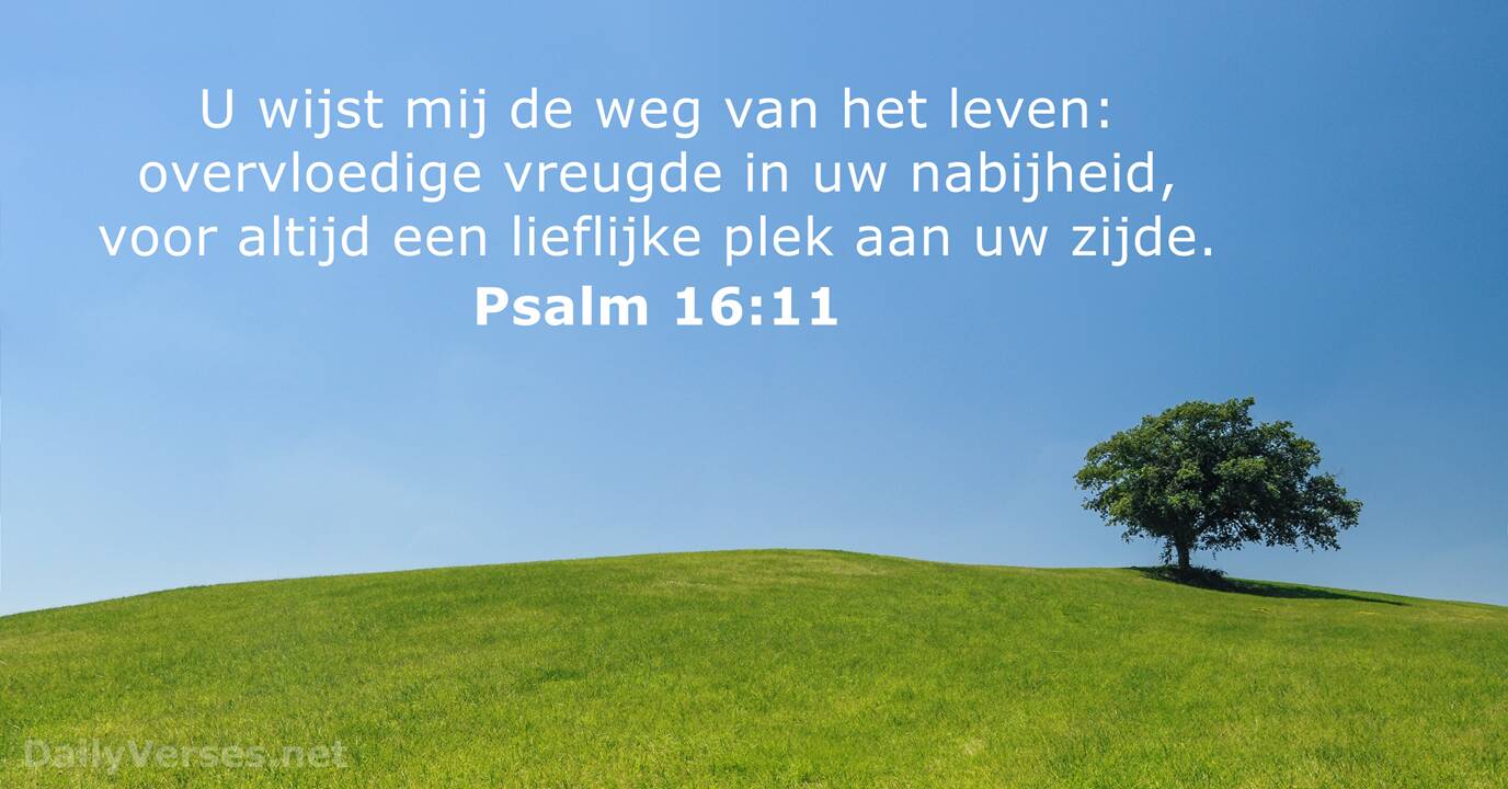 25 September 2017 Bijbeltekst Van De Dag Psalm 16 11 DailyVerses