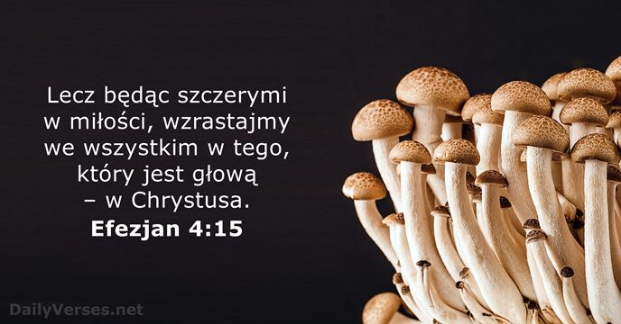 Efezjan 4:15