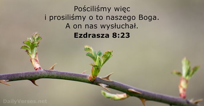 Ezdrasza 8:23