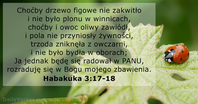 Choćby drzewo figowe nie zakwitło i nie było plonu w winnicach, choćby… Habakuka 3:17-18