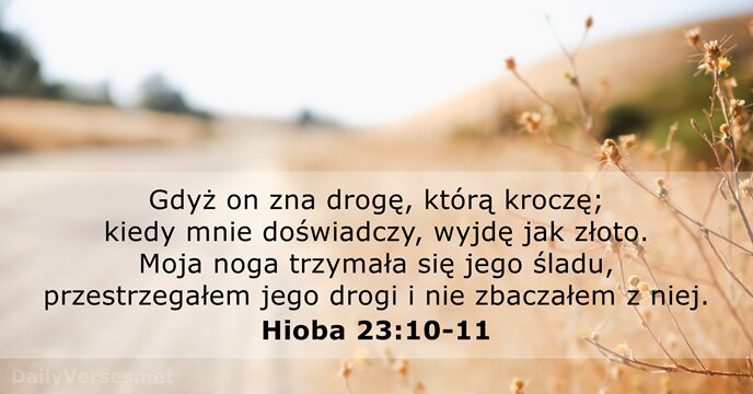 Hioba 23:10-11
