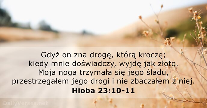 Gdyż on zna drogę, którą kroczę; kiedy mnie doświadczy, wyjdę jak złoto… Hioba 23:10-11