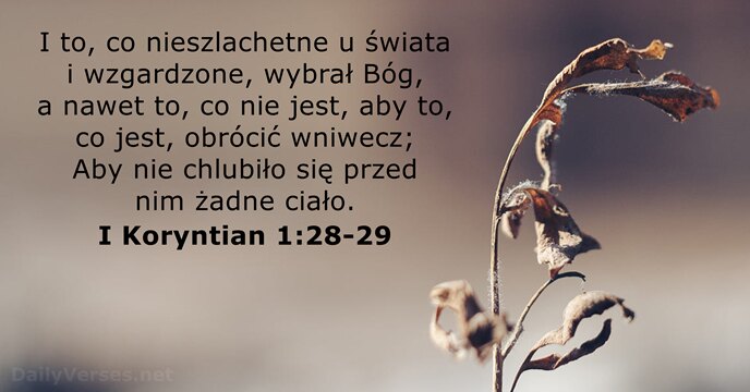 I Koryntian 1:28-29