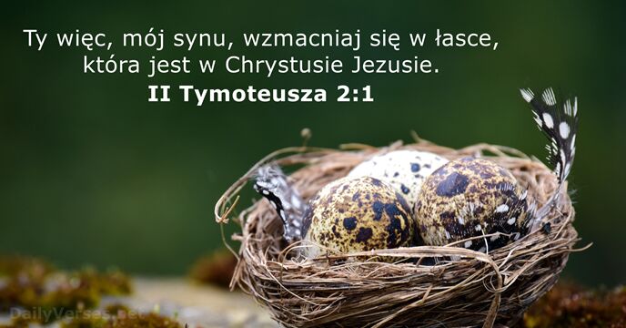 Ty więc, mój synu, wzmacniaj się w łasce, która jest w Chrystusie Jezusie. II Tymoteusza 2:1
