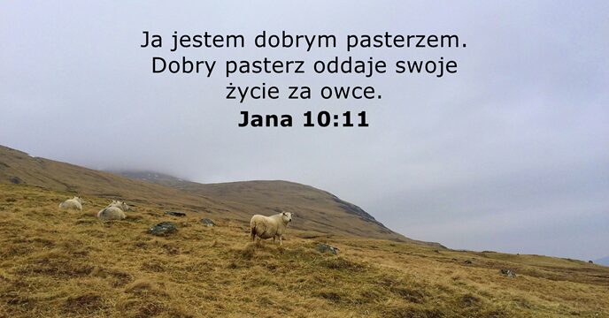 Jana 10:11