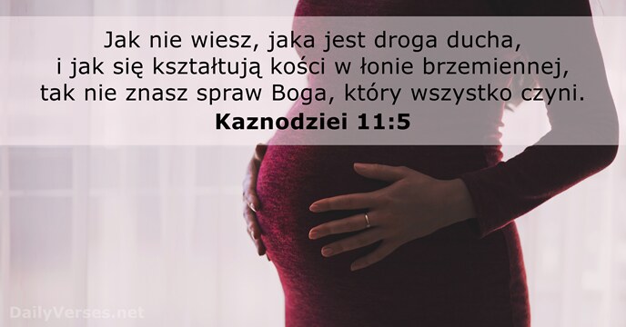 Kaznodziei 11:5