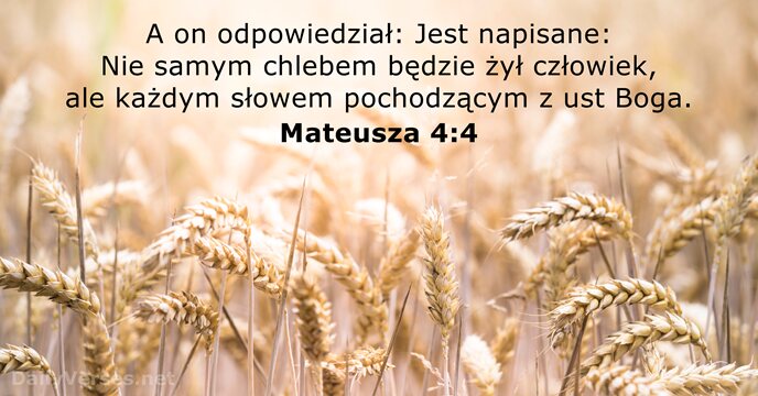 A on odpowiedział: Jest napisane: Nie samym chlebem będzie żył człowiek, ale… Mateusza 4:4