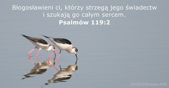 Psalmów 119:2