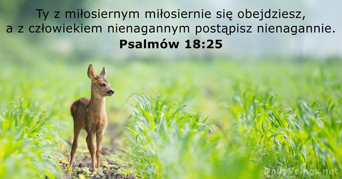 Psalmów 18:25