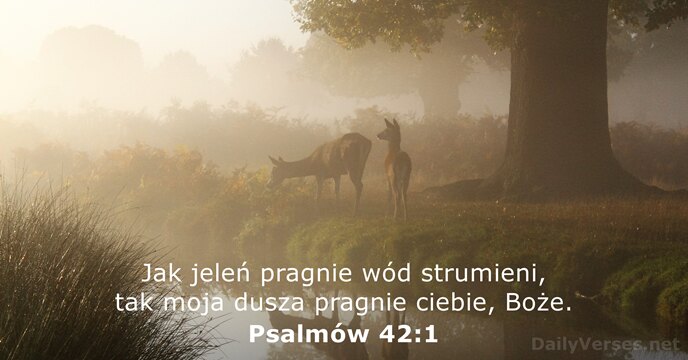 Jak jeleń pragnie wód strumieni, tak moja dusza pragnie ciebie, Boże. Psalmów 42:1