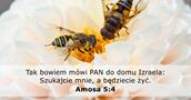 Amosa 5:4