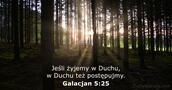Galacjan 5:25
