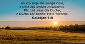 Galacjan 6:8
