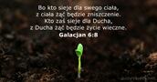 Galacjan 6:8