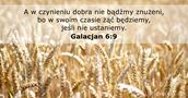 Galacjan 6:9