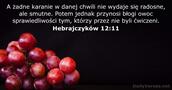 Hebrajczyków 12:11