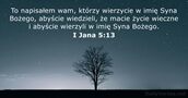 I Jana 5:13