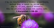 I Koryntian 1:28-29