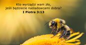 I Piotra 3:13